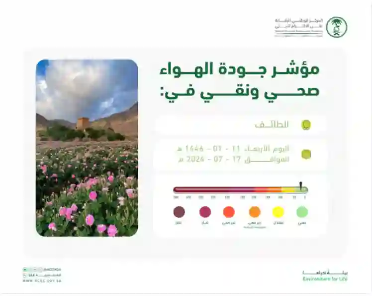 مفاجأة كبيرة عن جودة الهواء في الطايف 